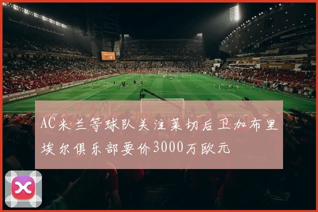 AC米兰等球队关注莱切后卫加布里埃尔俱乐部要价3000万欧元