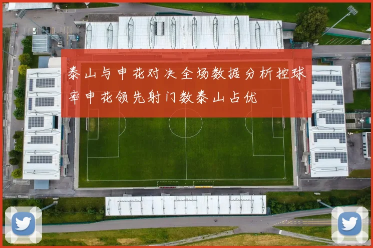 泰山与申花对决全场数据分析控球率申花领先射门数泰山占优