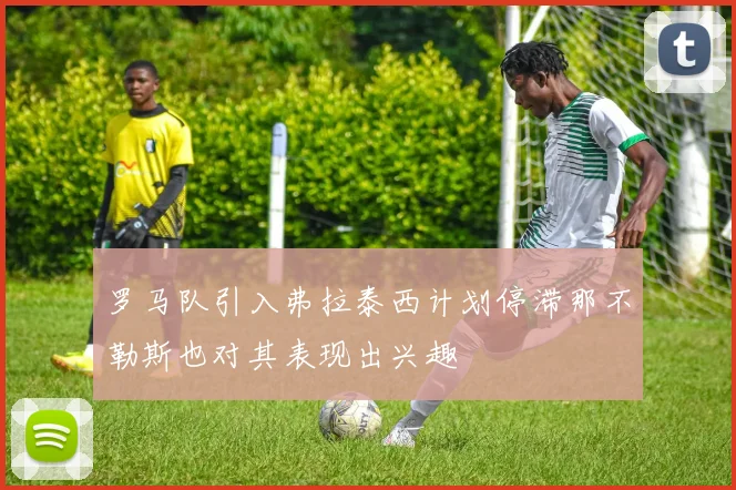 罗马队引入弗拉泰西计划停滞那不勒斯也对其表现出兴趣